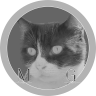 MaikTheGray